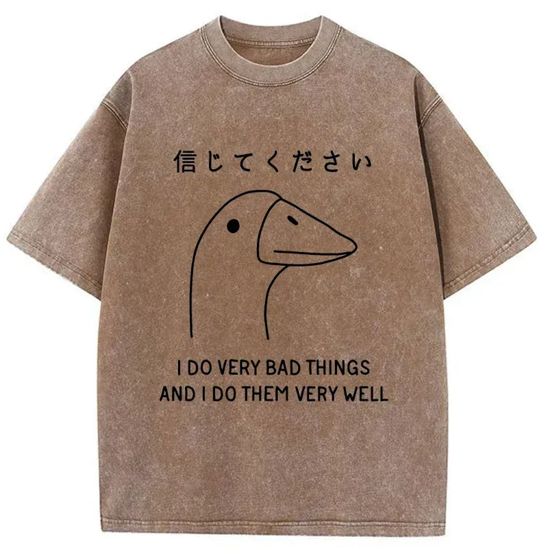 Japanese vintage Kyoto lion washed t-shirt