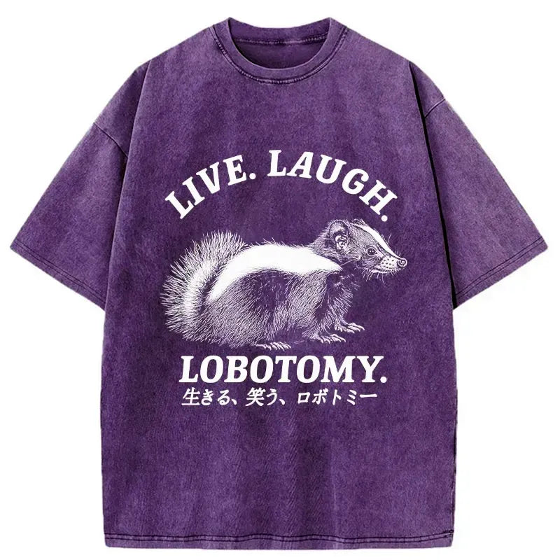 Kyoto Lion Japanese streetwear washed t-shirt