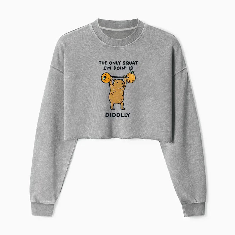 Kyoto-Lion Diddly Capybara Washed Crop Sweatshirt