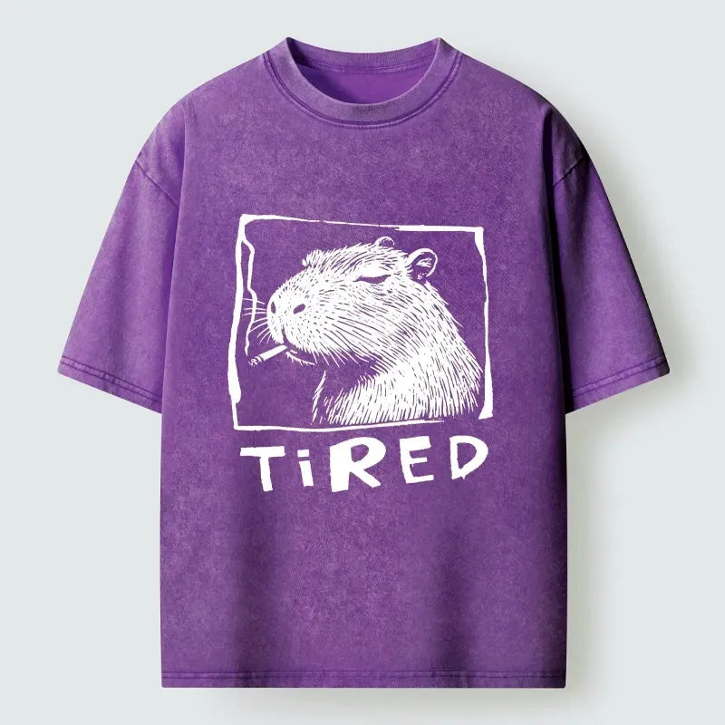 Kyoto-Lion Washed T-Shirt Gift for Him