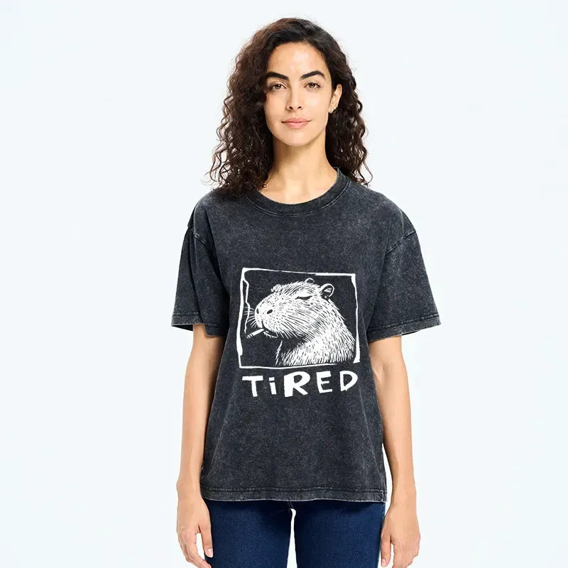 Kyoto-Lion Washed T-Shirt Gift for Him