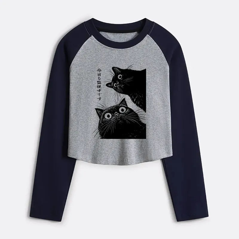 kyoto lion cat t-shirt for summer vacation