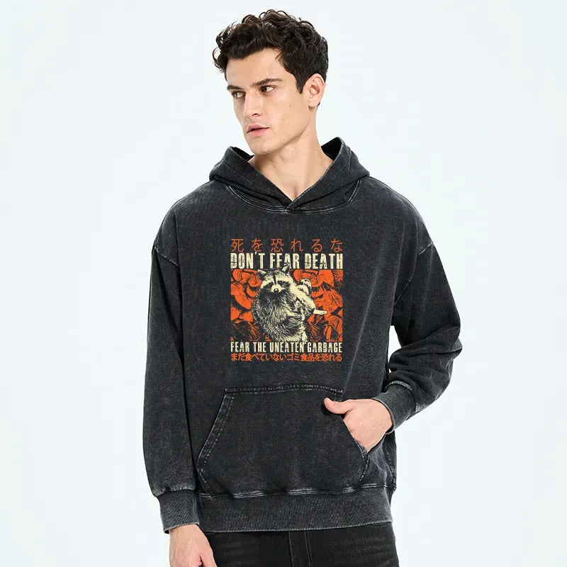Kyoto-Lion Timid Raccoon Japanese Washed Hoodie