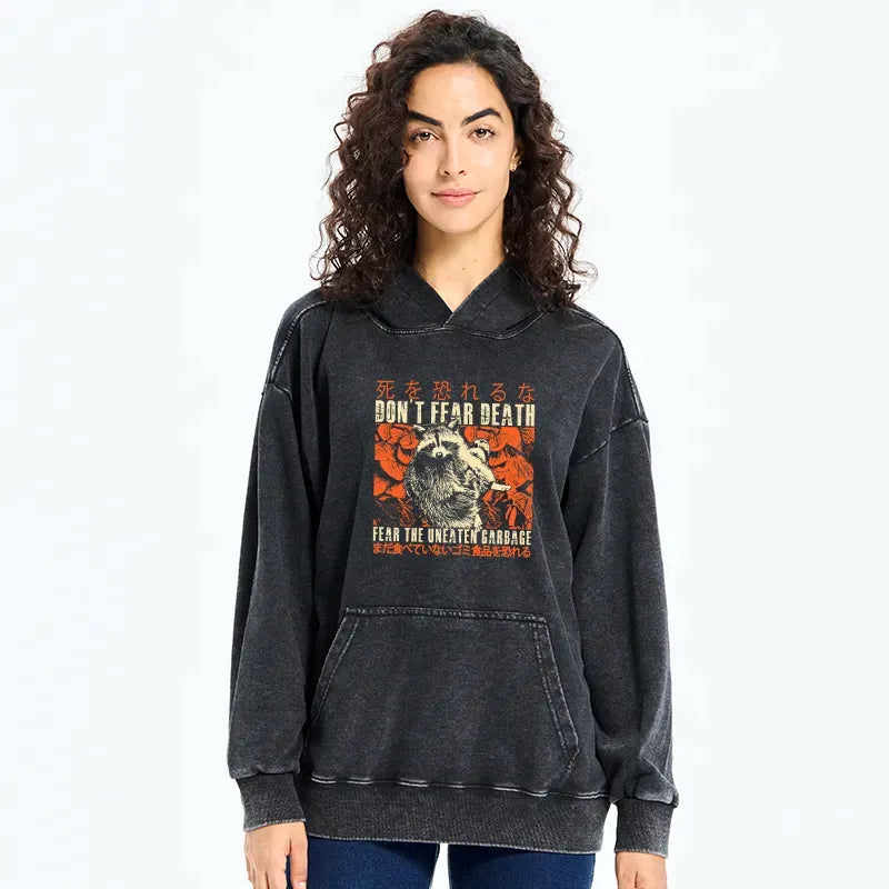 Kyoto-Lion Timid Raccoon Japanese Washed Hoodie