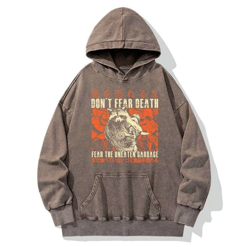 Kyoto-Lion Timid Raccoon Japanese Washed Hoodie