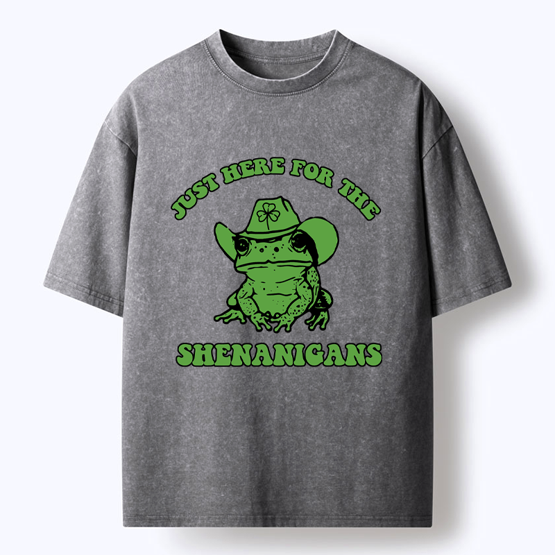 Japanese Washed T-Shirt for Daily Wear