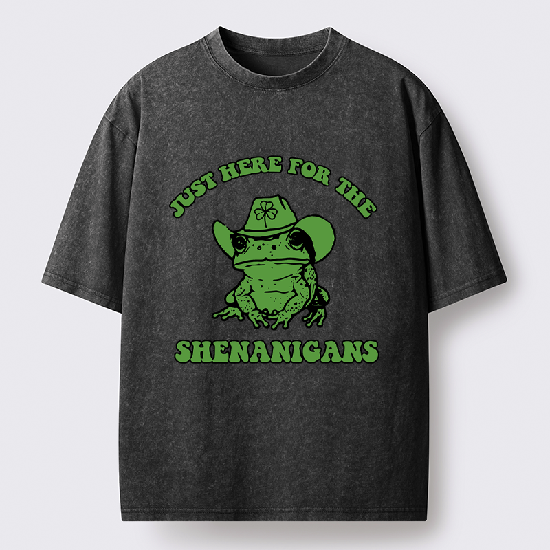 Japanese Washed T-Shirt for Daily Wear