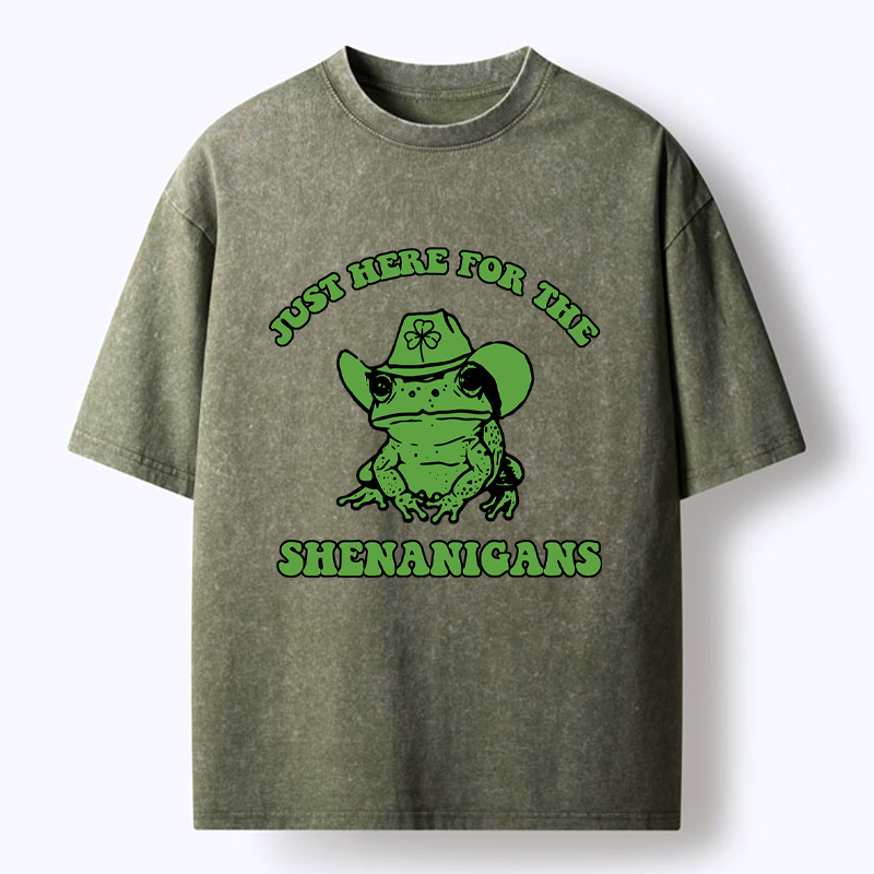 Japanese Washed T-Shirt for Daily Wear