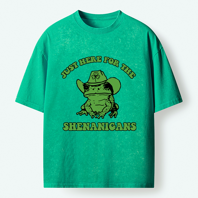 Japanese Washed T-Shirt for Daily Wear