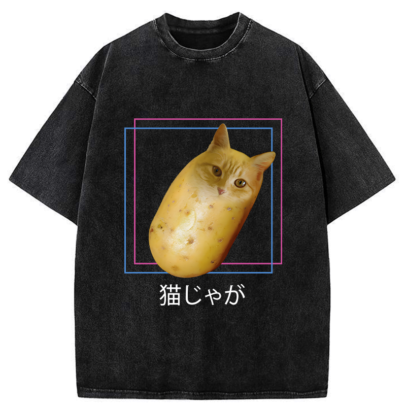 kyoto lion cat t-shirt gift idea