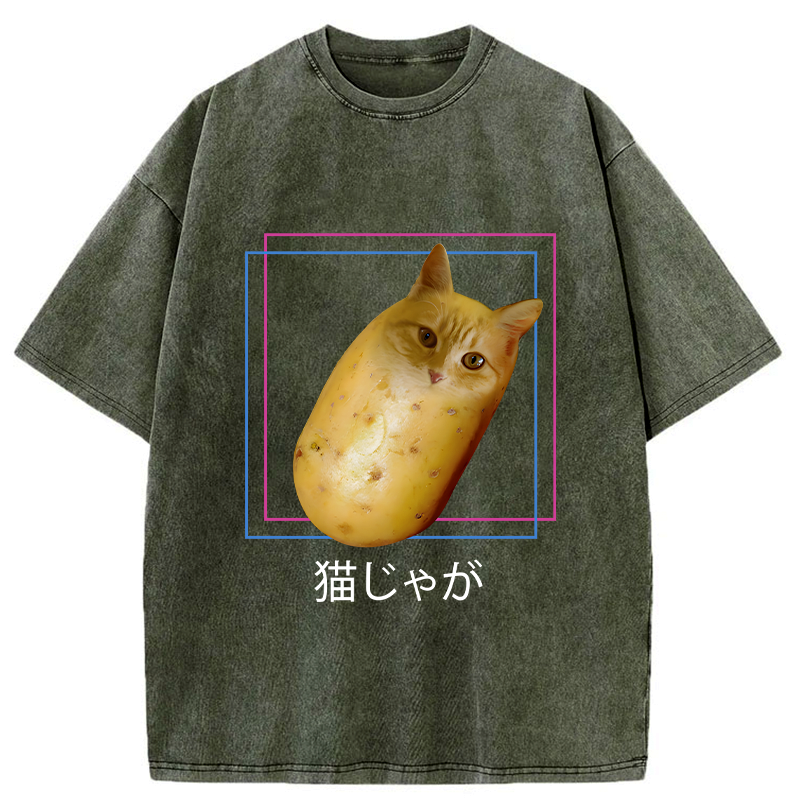 kyoto lion cat t-shirt gift idea
