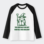 Funny Wizard Frog Raglan T-Shirt for Streetwear