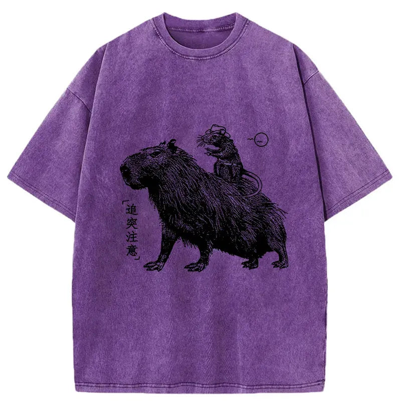 Unisex Cotton Tee with Free Shipping