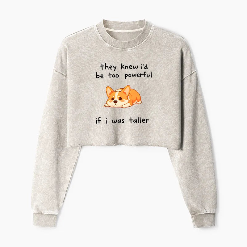 Kyoto-Lion Funny Short Dog Joke Washed Crop Sweatshirt
