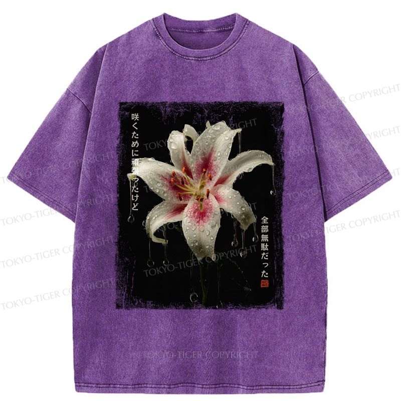 Kyoto Lion Japanese Culture T-Shirt Gift Idea