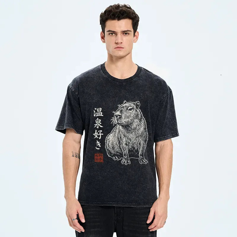 Japanese vintage washed t-shirt for hot spring lovers