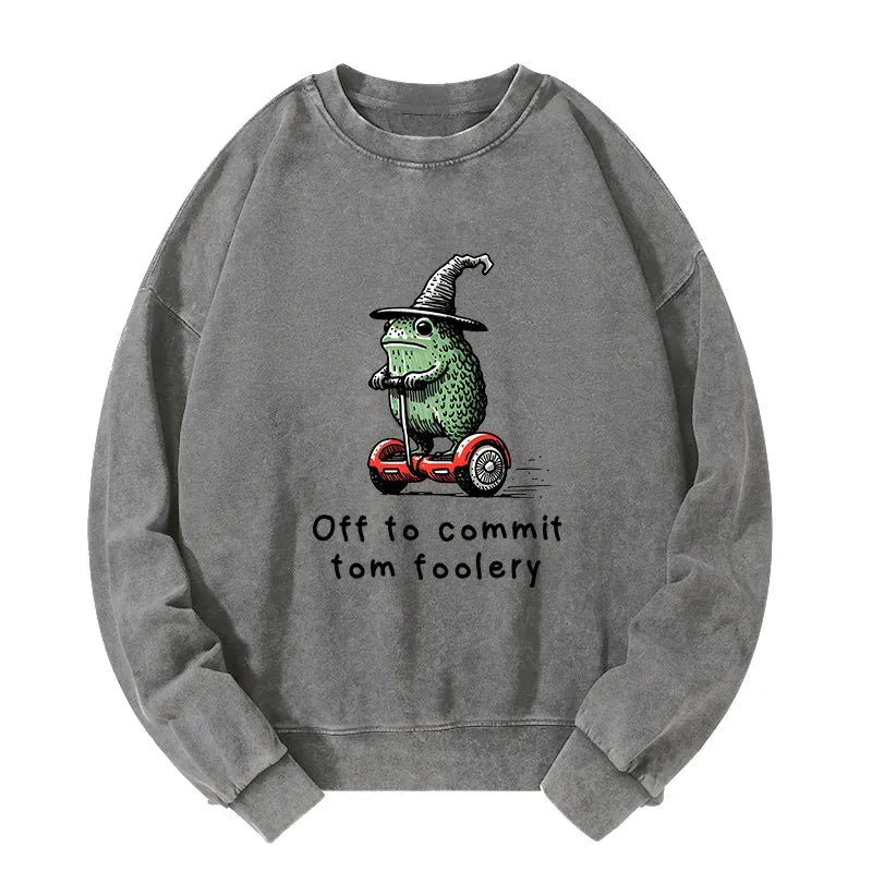 Kyoto-Lion Frog Riding A Balance Scooter Washed Sweatshirt