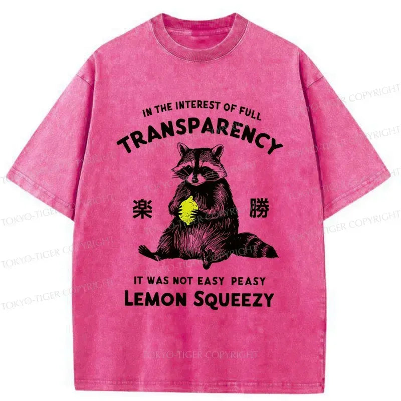 Japanese Vintage Raccoon T-Shirt for Daily Wear