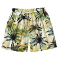 Kyoto Lion Japanese Style Swim Trunks Gift Idea