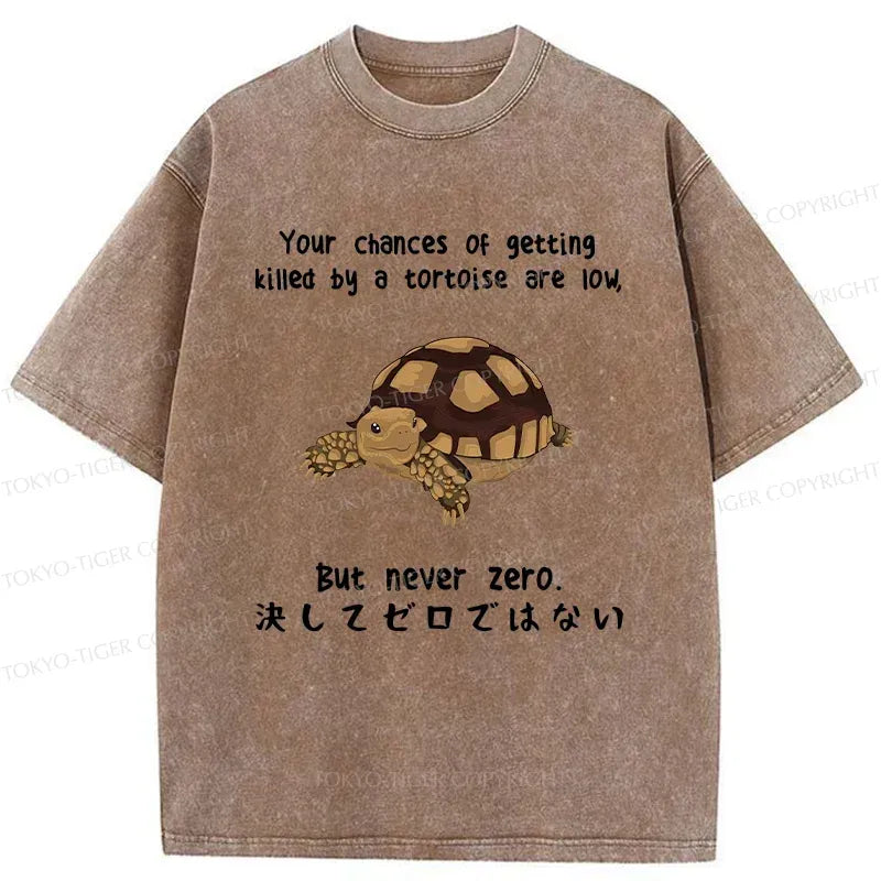 Japanese Funny Turtle T-Shirt for Gift