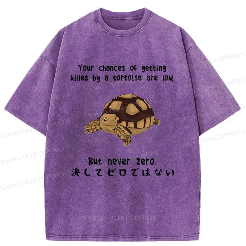 Japanese Funny Turtle T-Shirt for Gift
