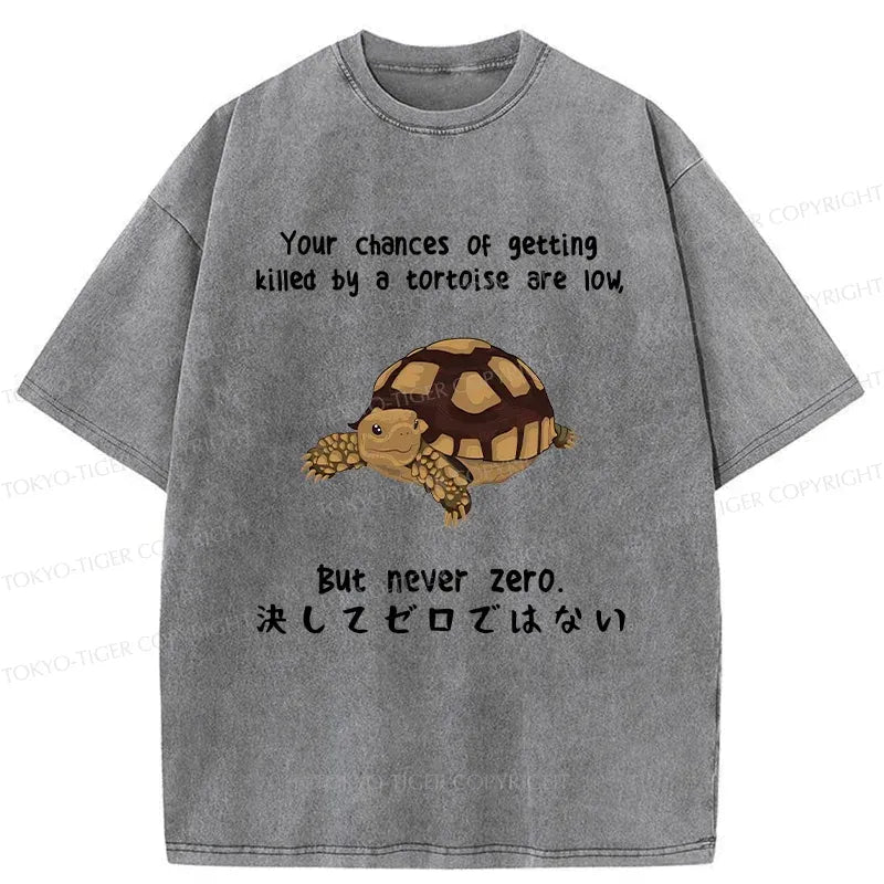 Japanese Funny Turtle T-Shirt for Gift