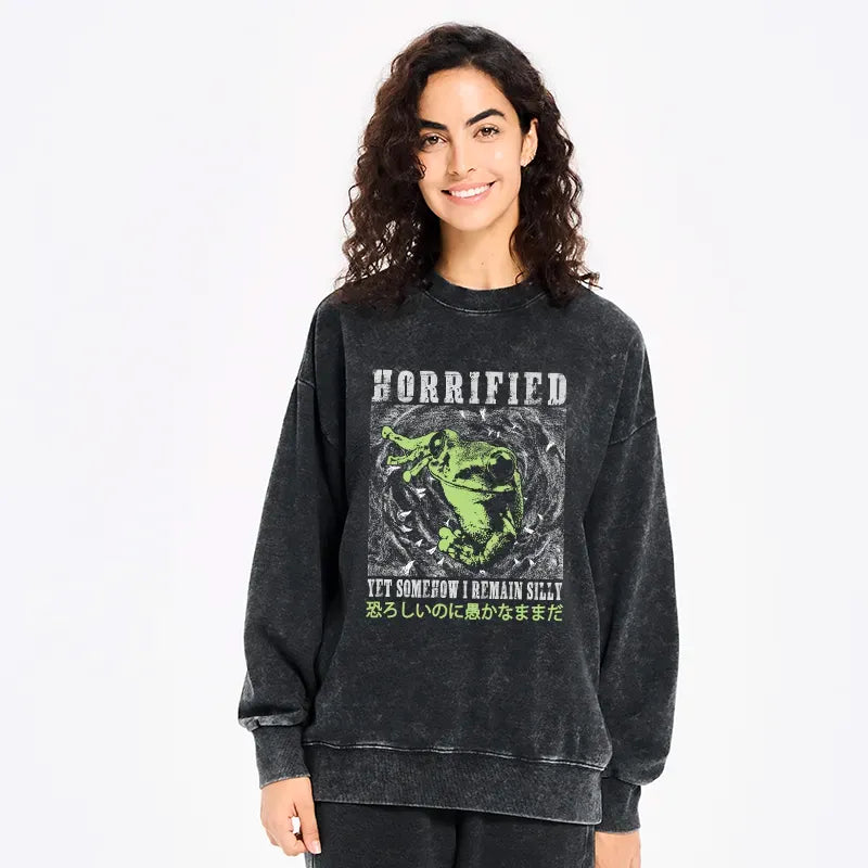 Kyoto-Lion Silly Frog Japanese Washed Sweatshirt