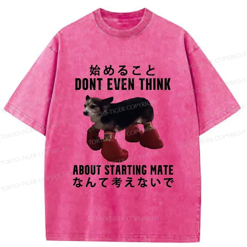 Kyoto-Lion Funny Violent Boxer Washed T-Shirt
