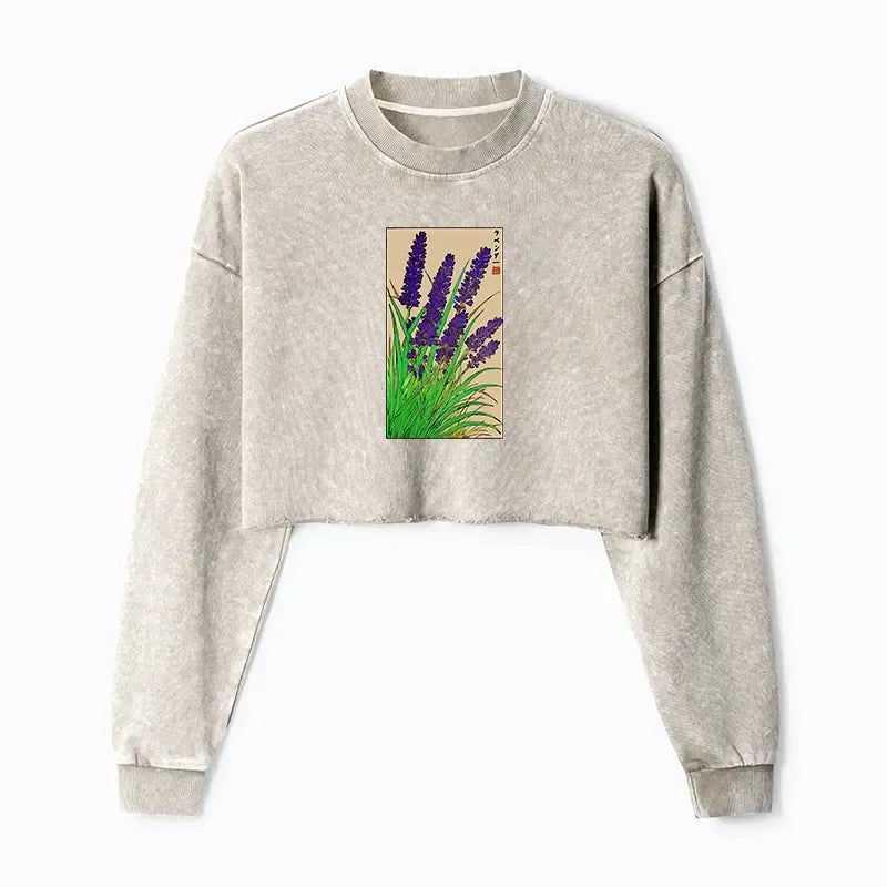 Trendy Japanese Crop Sweatshirt Free Shipping
