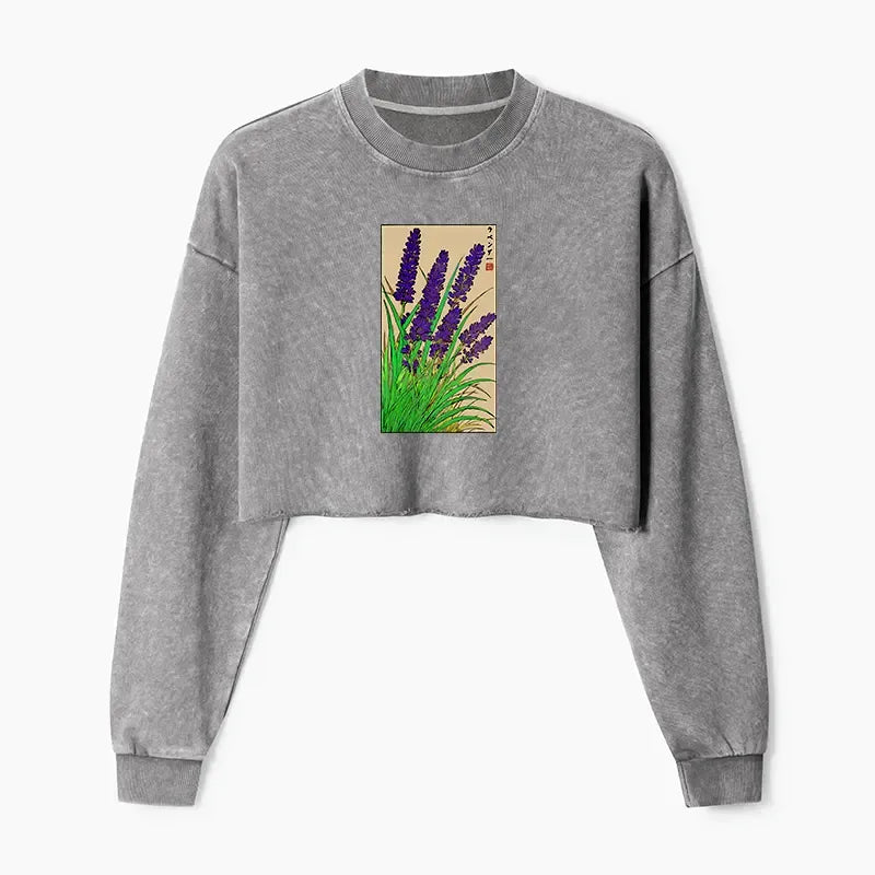 Trendy Japanese Crop Sweatshirt Free Shipping