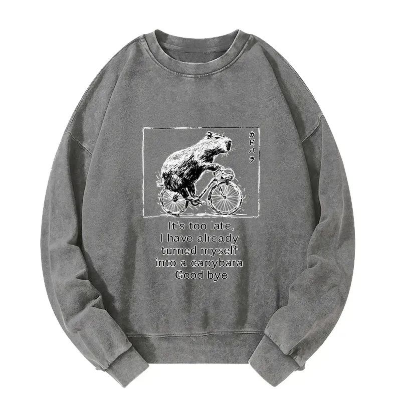 washed unisex sweatshirt for daily wear