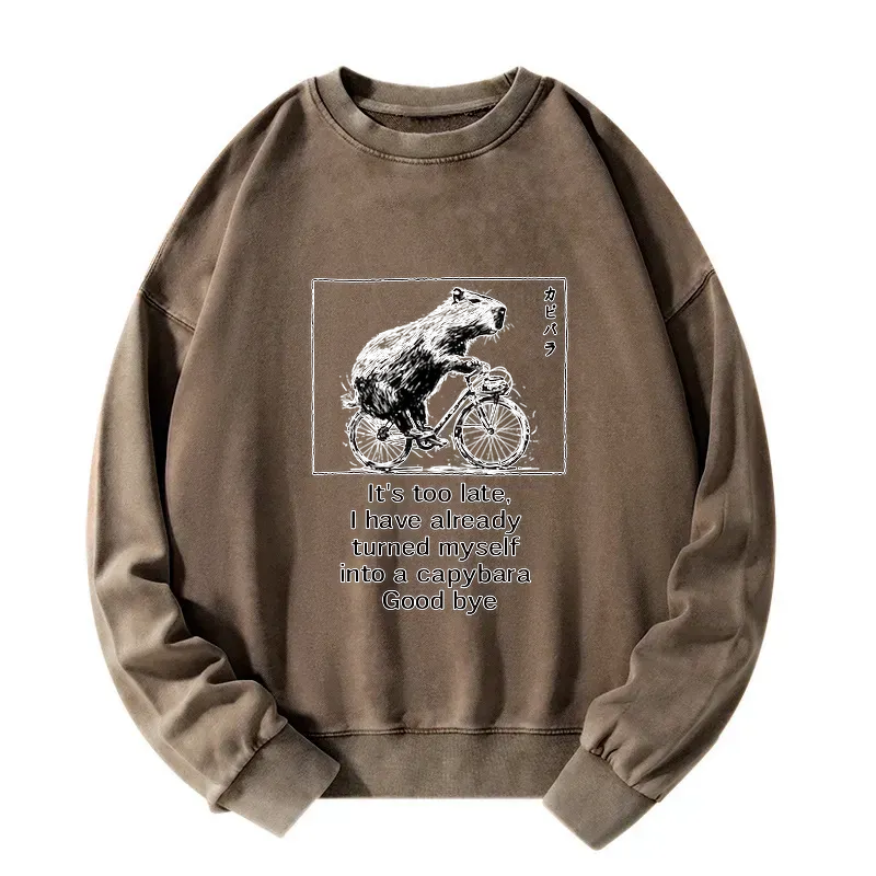 washed unisex sweatshirt for daily wear