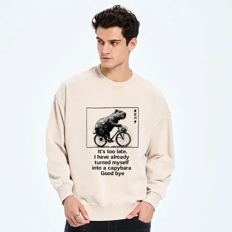 washed unisex sweatshirt for daily wear