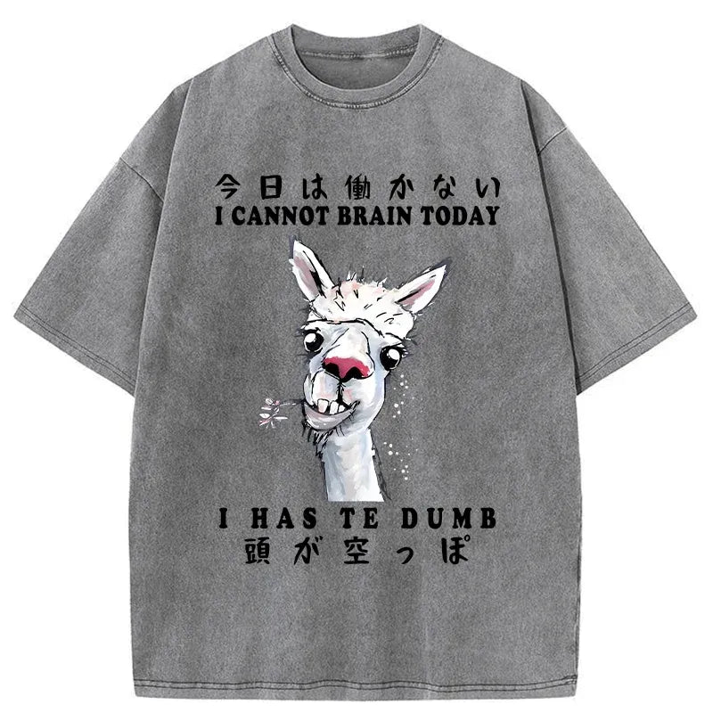 Japanese vintage washed alpaca t-shirt