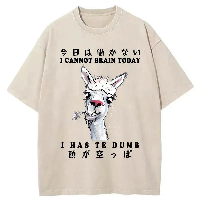 kyoto lion alpaca tee for daily wear