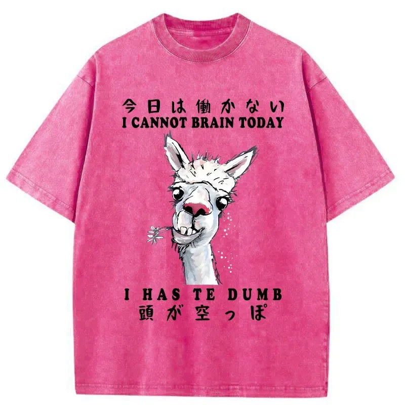 kyoto lion alpaca tee for daily wear