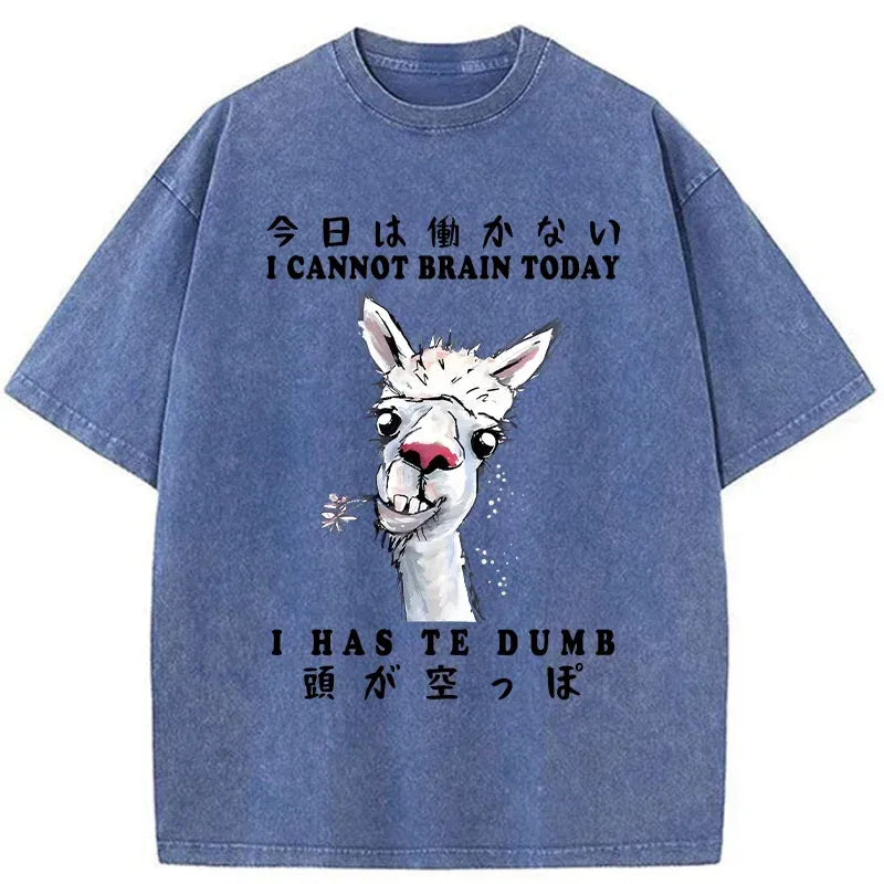 comfortable unisex cotton t-shirt free shipping