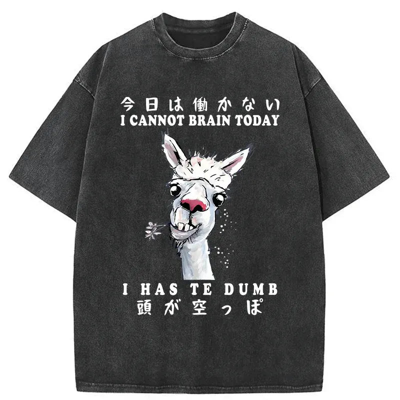 kyoto lion alpaca tee for daily wear