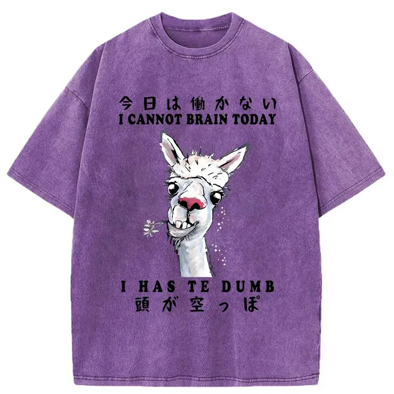 comfortable unisex cotton t-shirt free shipping