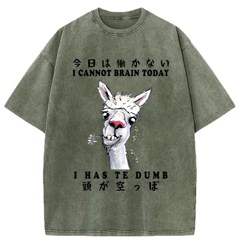 Japanese vintage washed alpaca t-shirt