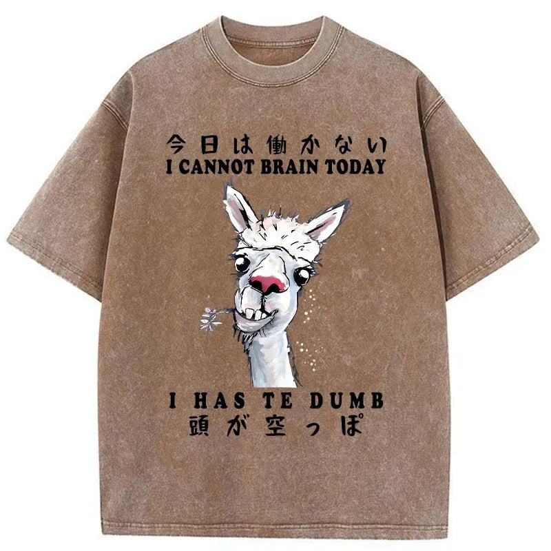 kyoto lion alpaca tee for daily wear