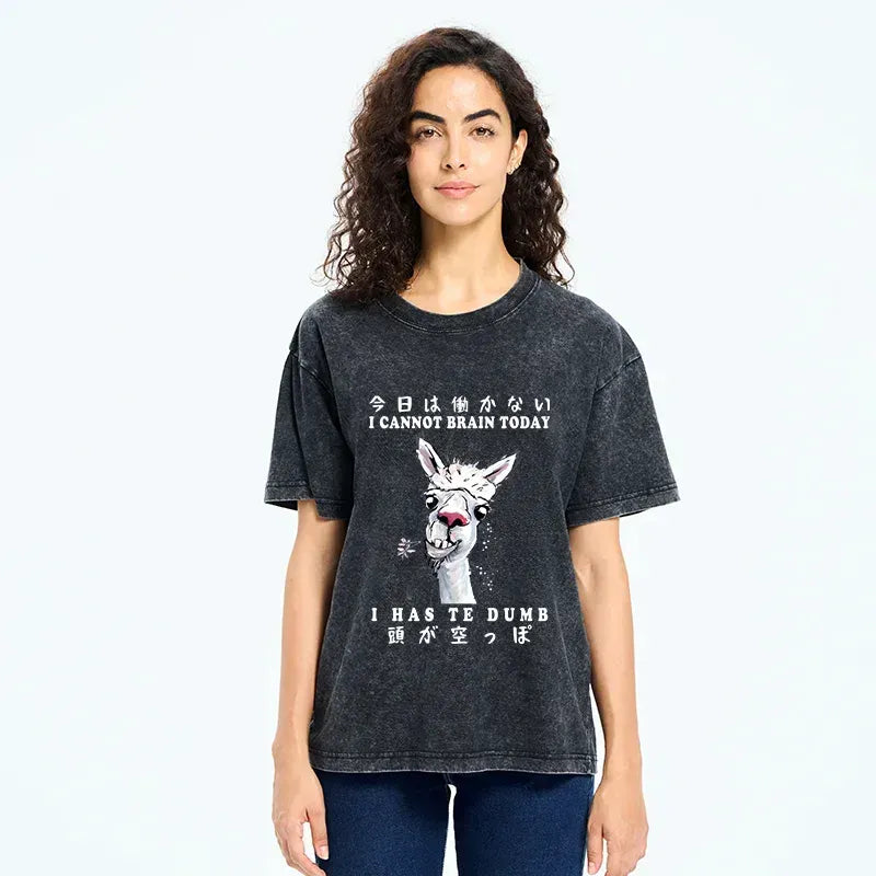 comfortable unisex cotton t-shirt free shipping