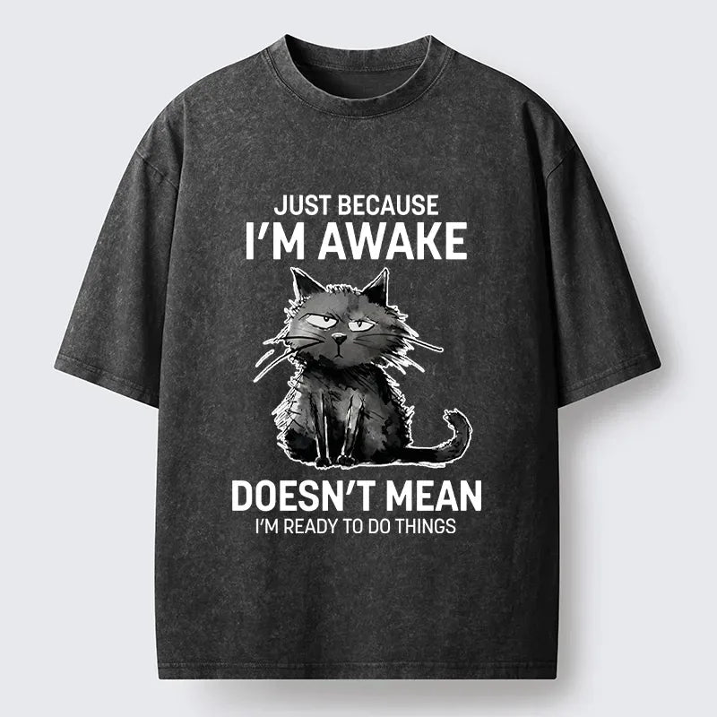 Kyoto-Lion Cat Not Ready To Do Things Washed T-Shirt