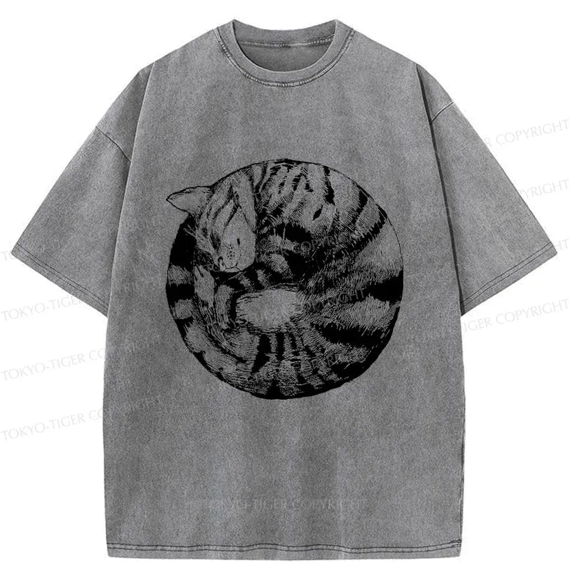 Kyoto-Lion A Plate Of Cat Washed T-Shirt