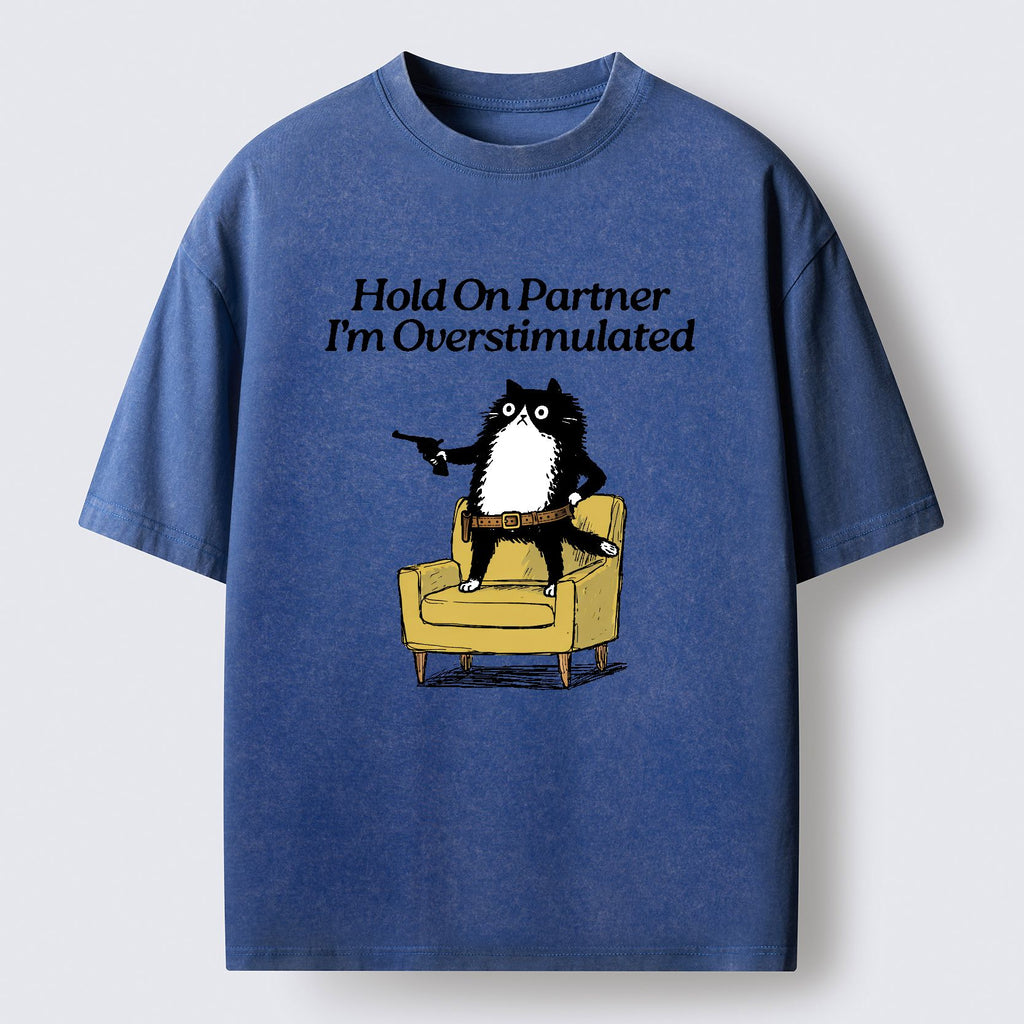 Kyoto-Lion Overstimulated Cat Washed T-Shirt