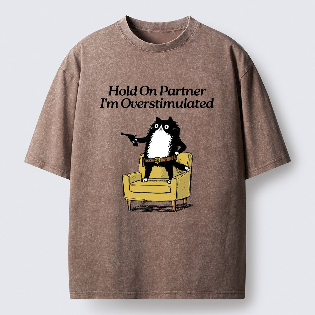 Kyoto-Lion Overstimulated Cat Washed T-Shirt