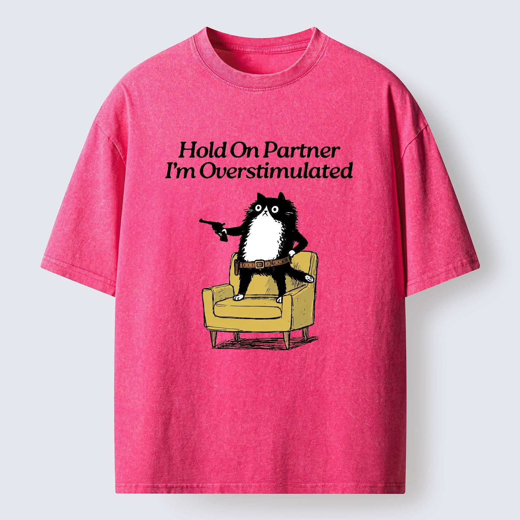 Kyoto-Lion Overstimulated Cat Washed T-Shirt