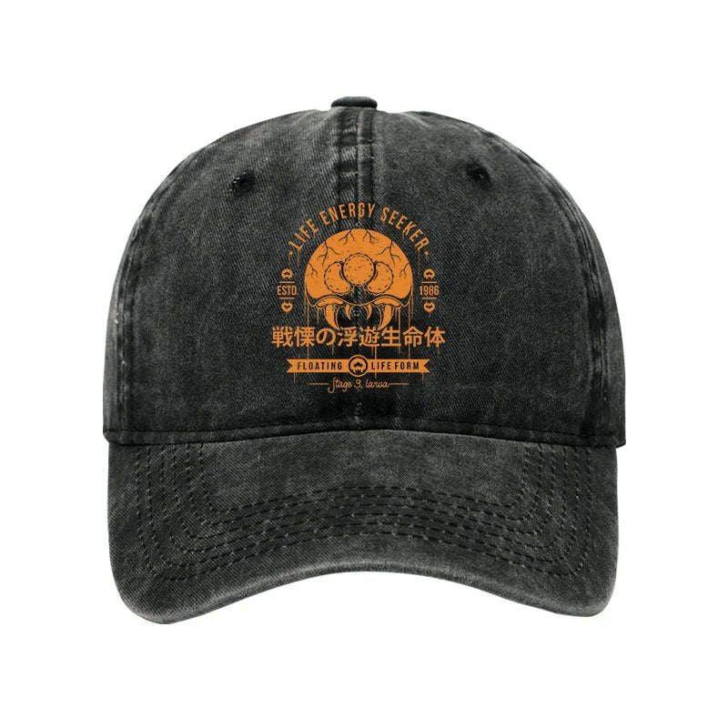 Japanese vintage washed cap for everyday