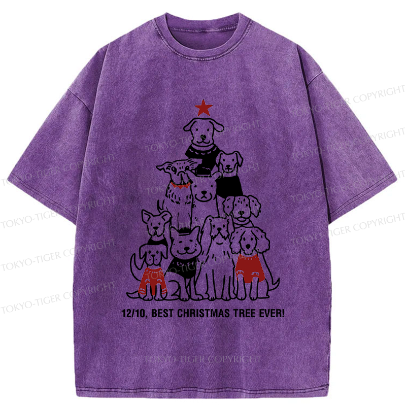 Kyoto-Lion 12/10£¬Best Pupmas Tree Ever Washed T-Shirt