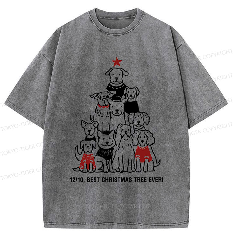 Kyoto-Lion 12/10£¬Best Pupmas Tree Ever Washed T-Shirt